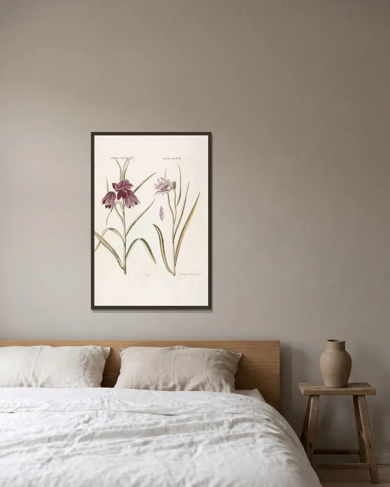 Fritillaria VII. Fritillaria VIII av Christoph Jakob Trew inramad på en vägg