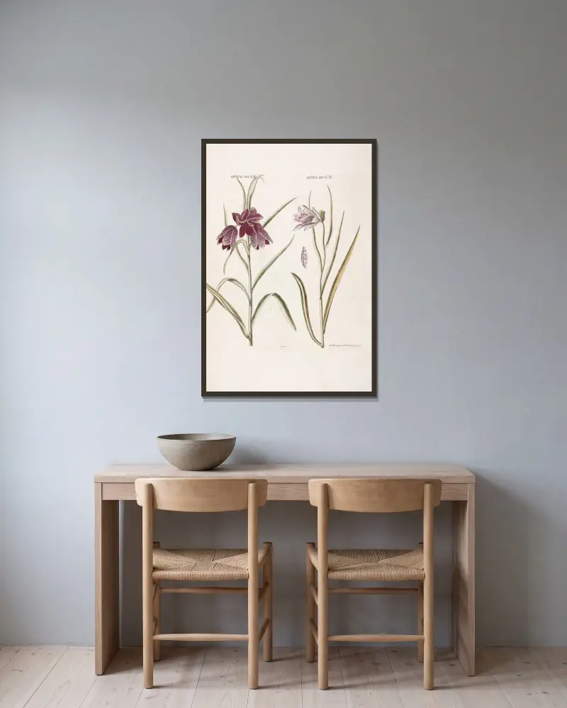 Fritillaria VII. Fritillaria VIII av Christoph Jakob Trew inramad på en vägg