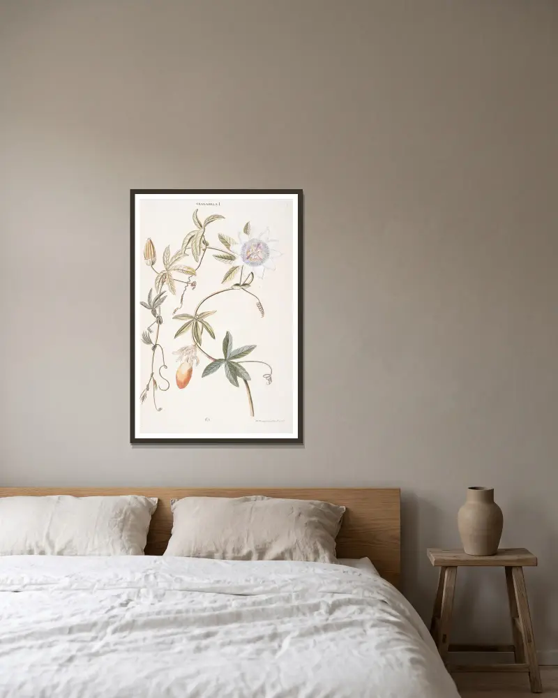 Granadilla I von Christoph Jakob Trew gerahmt an einer Wand