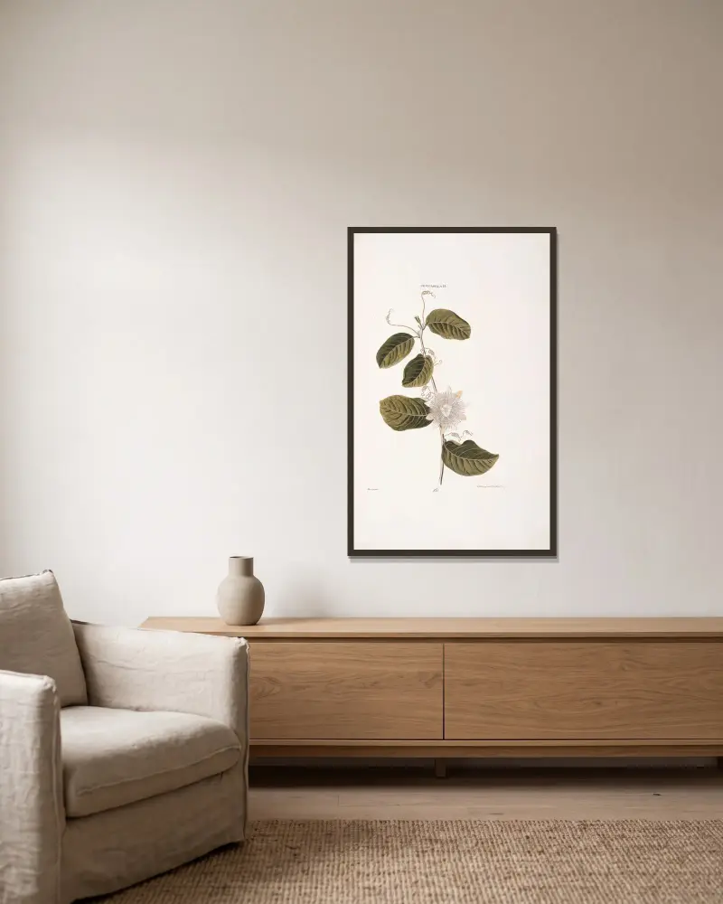 Granadilla II. von Christoph Jakob Trew gerahmt an einer Wand