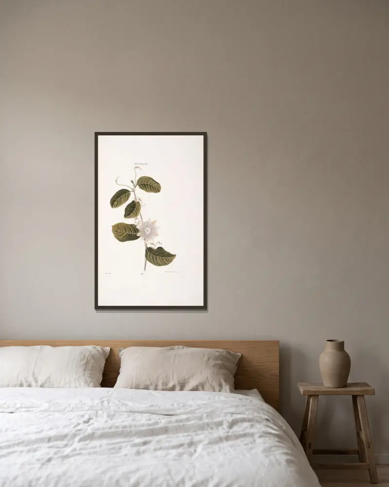 Granadilla II. von Christoph Jakob Trew gerahmt an einer Wand