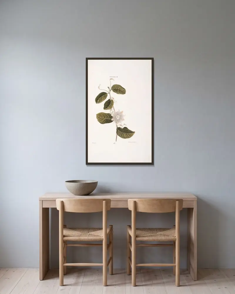 Granadilla II. von Christoph Jakob Trew gerahmt an einer Wand