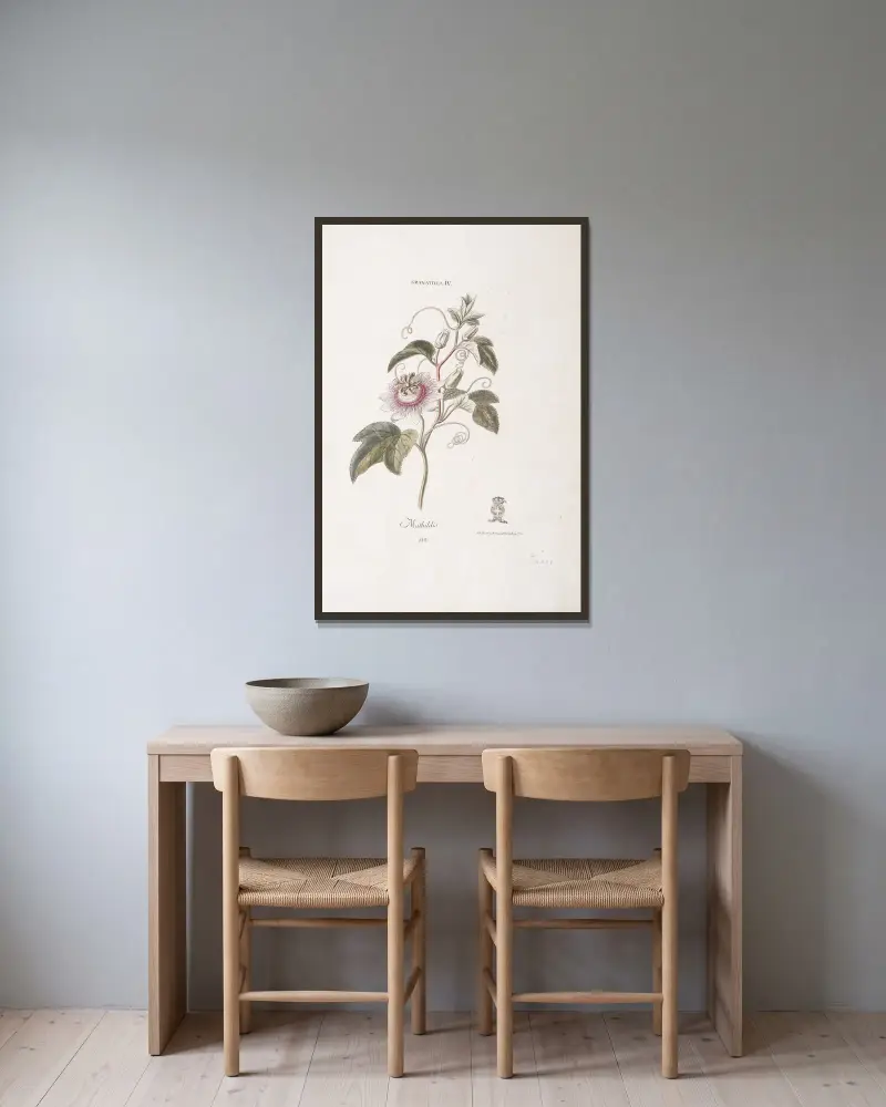 Granadilla IV. Mathildis von Christoph Jakob Trew gerahmt an einer Wand
