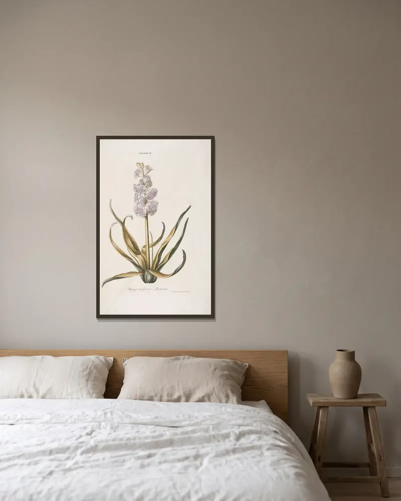 Hyacinthus II. Konung av Storbritannien av Christoph Jakob Trew inramad på en vägg