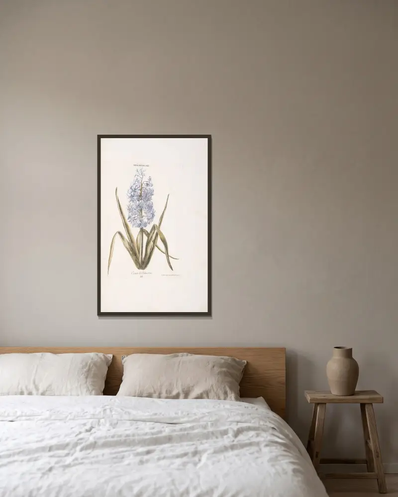Hyacinthus XI. Comte de Schvverin av Christoph Jakob Trew inramad på en vägg