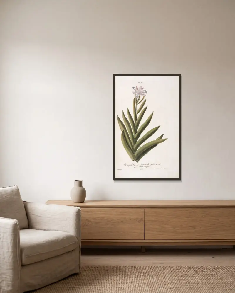 Iris IV. Iris latifolia, Virginiana, florum petalis repandis purpureis, erectis caeruleo variegatis av Christoph Jakob Trew inramad på en vägg