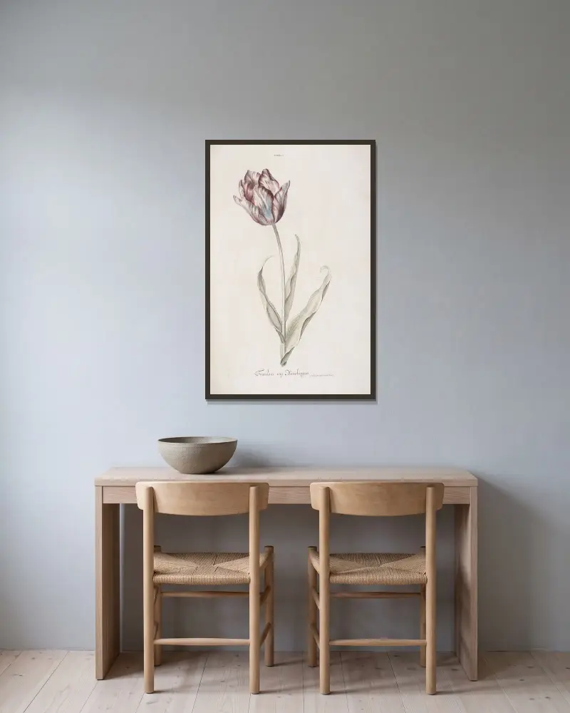 Tulipa I. Fräulein von München av Christoph Jakob Trew inramad på en vägg