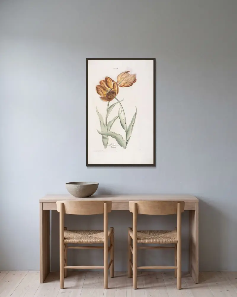 Tulipa II. La Solitaire brune av Christoph Jakob Trew inramad på en vägg