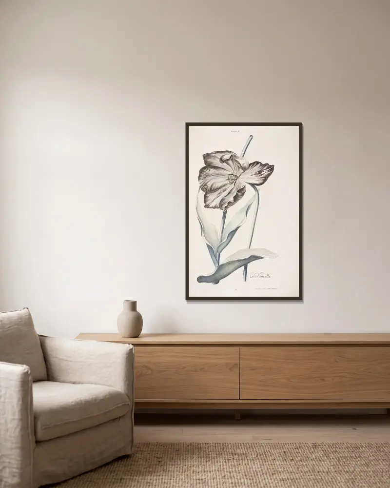 Tulipa IV. La Nouvelle av Christoph Jakob Trew inramad på en vägg