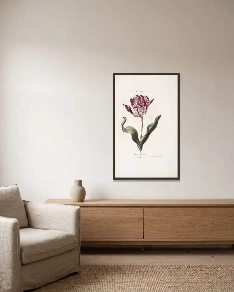 Tulipa XVII. Duc d’ Aquitaine av Christoph Jakob Trew inramad på en vägg