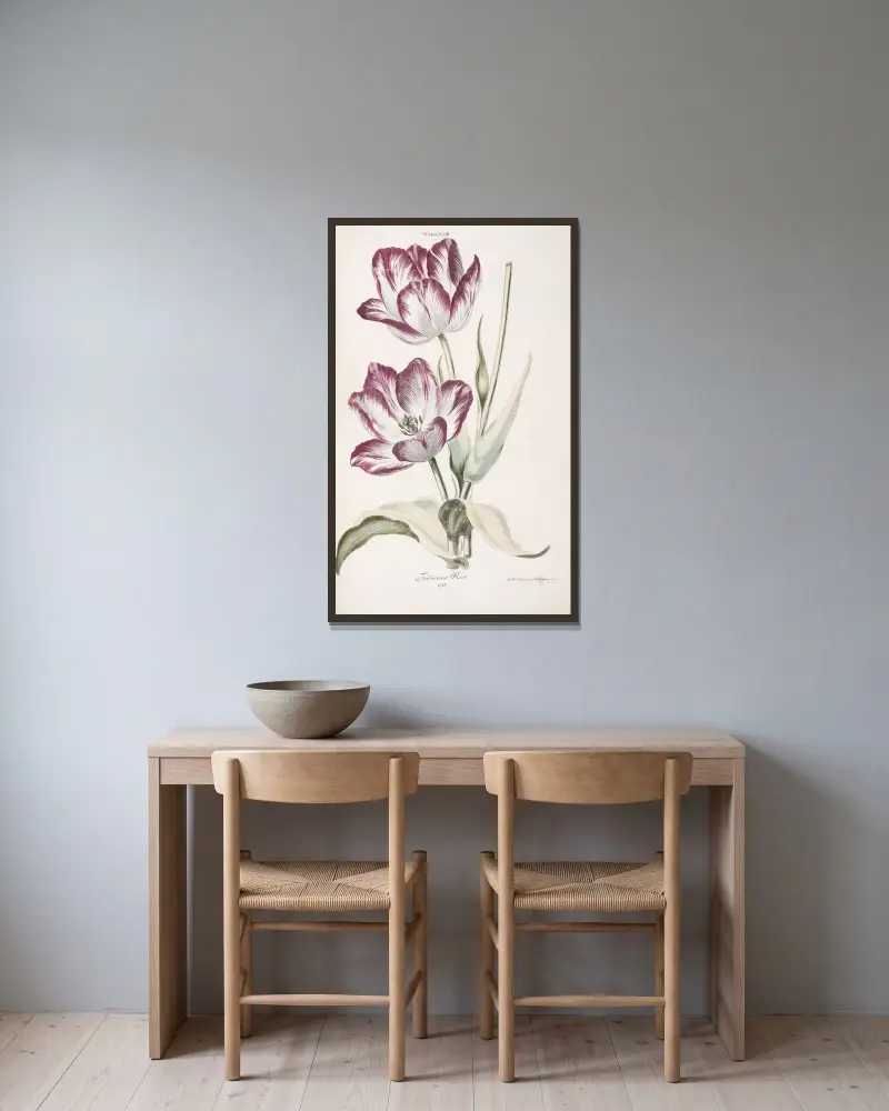 Tulipa XVIII. Fridericus Rex av Christoph Jakob Trew inramad på en vägg