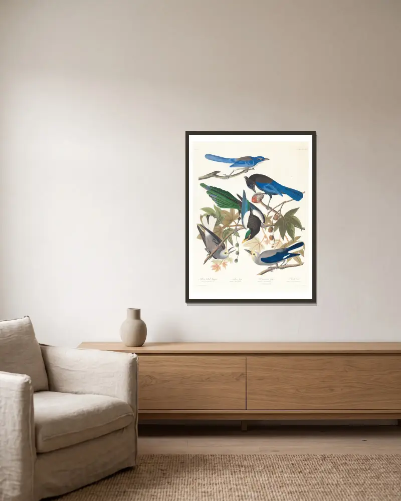 1. Yellow-billed magpie. 2. Stellers jay. 3. Ultramarine jay. 4, 5. Clark’s crow av John James Audubon inramad på en vägg