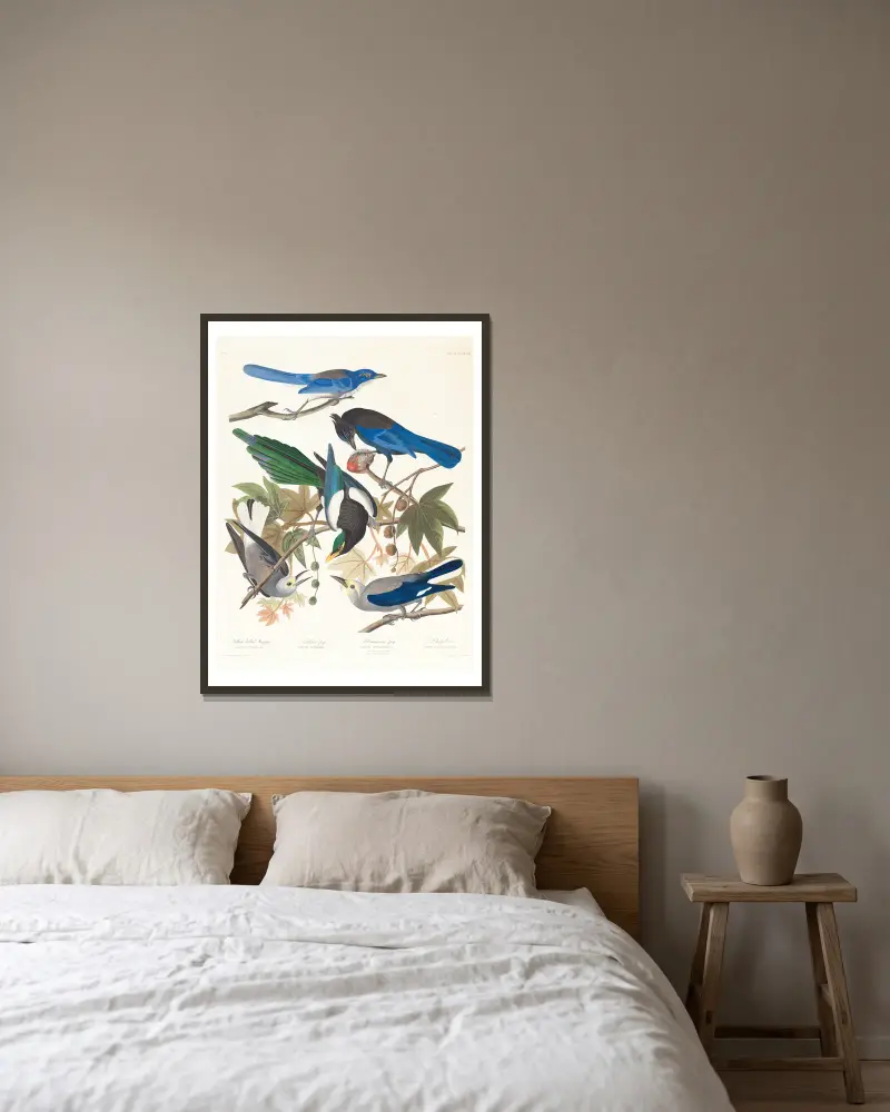 1. Yellow-billed magpie. 2. Stellers jay. 3. Ultramarine jay. 4, 5. Clark’s crow av John James Audubon inramad på en vägg