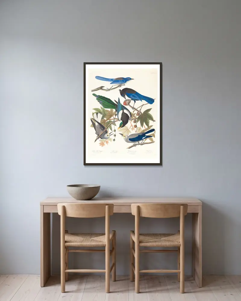 1. Yellow-billed magpie. 2. Stellers jay. 3. Ultramarine jay. 4, 5. Clark’s crow av John James Audubon inramad på en vägg