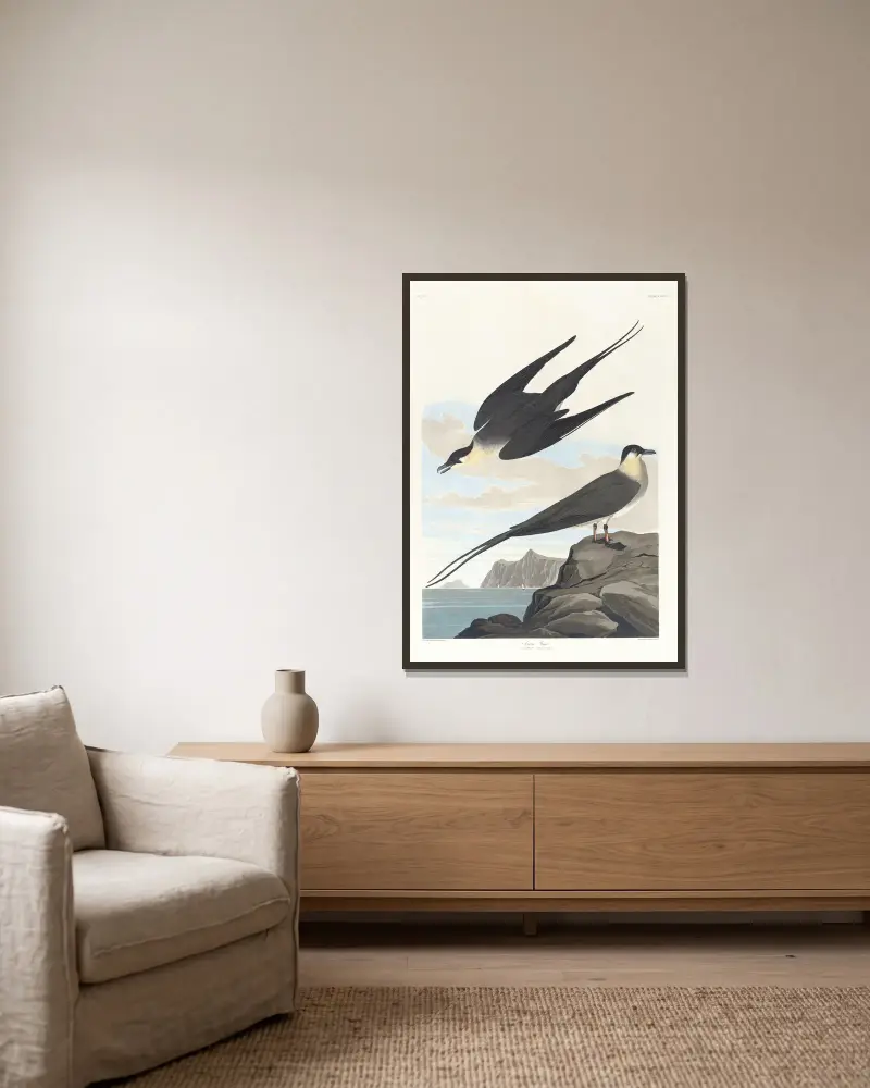 Arktický lovec, John James Audubon v rámu na stěně