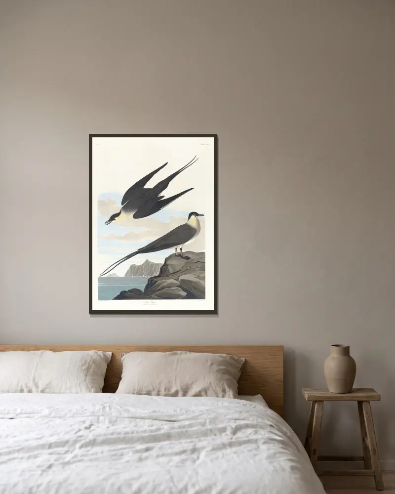 Arktický lovec, John James Audubon v rámu na stěně