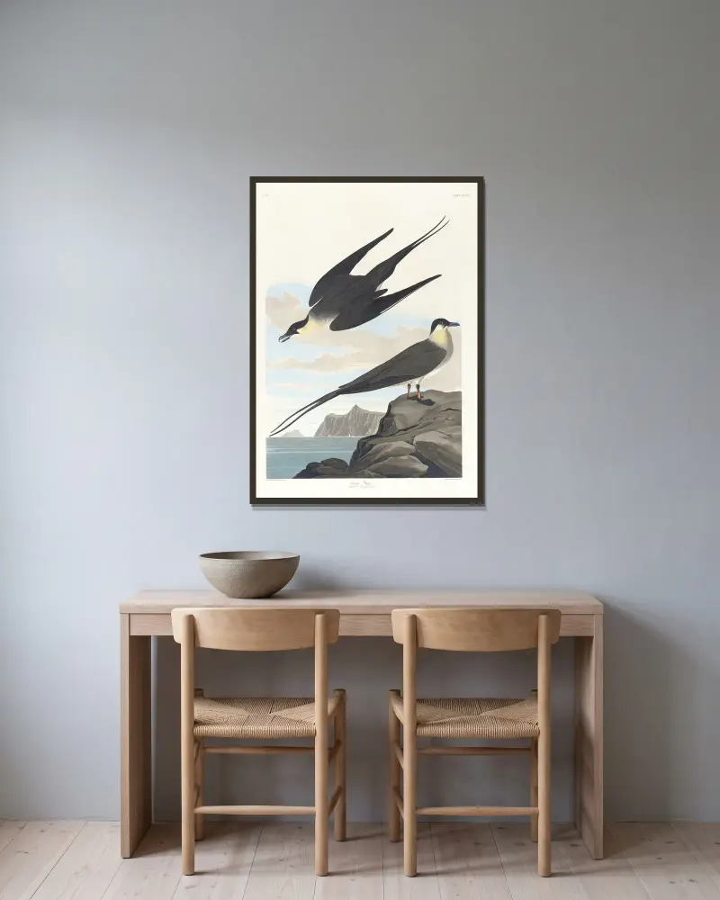 Arktický lovec, John James Audubon v rámu na stěně