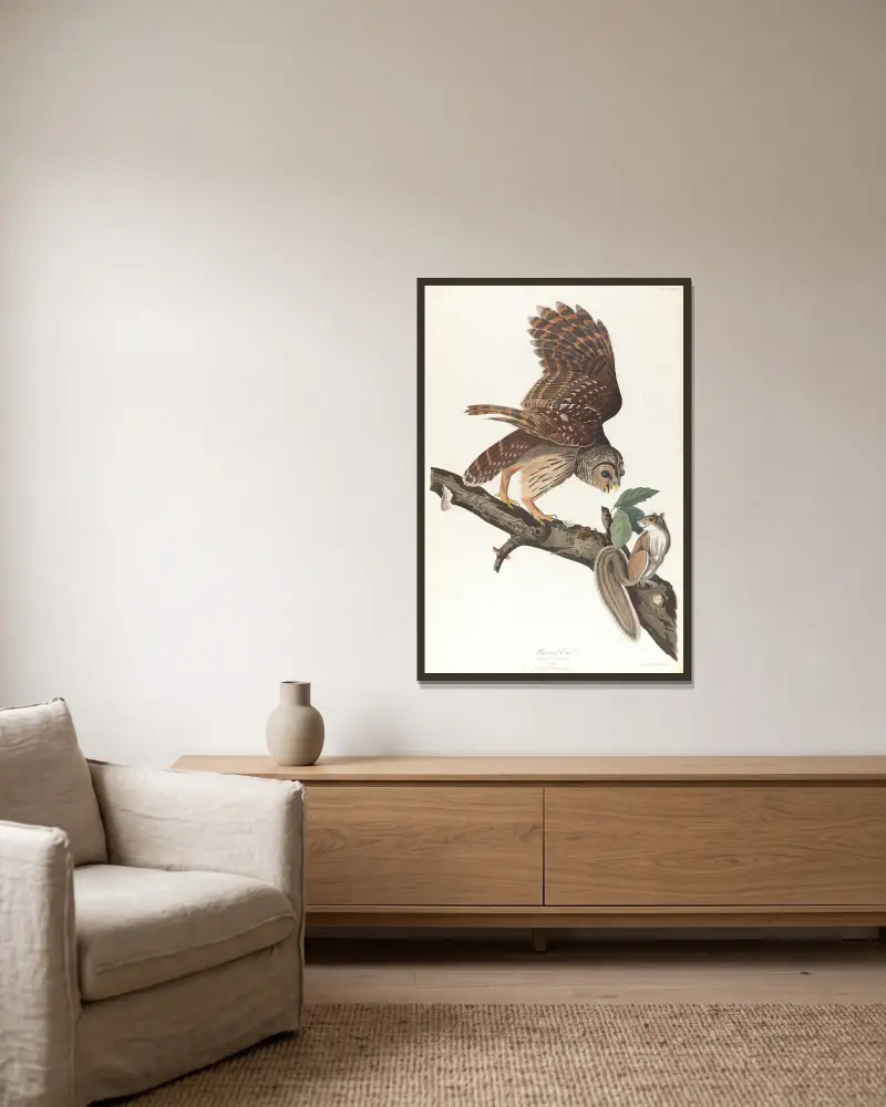Výr proměnlivý, John James Audubon v rámu na stěně