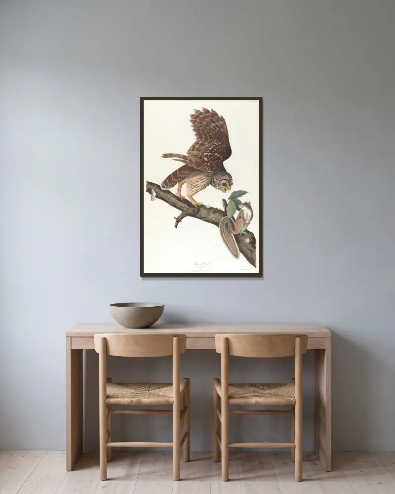 Výr proměnlivý, John James Audubon v rámu na stěně