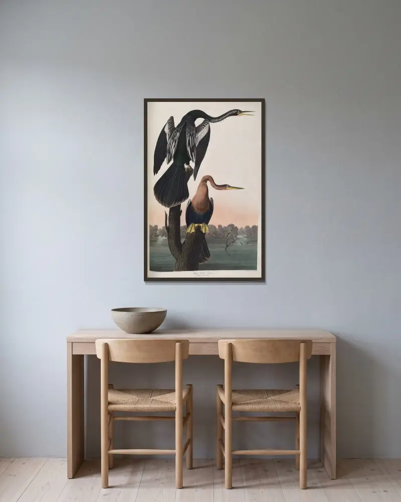 Wężówka czarnobrzucha, John James Audubon w ramie na ścianie