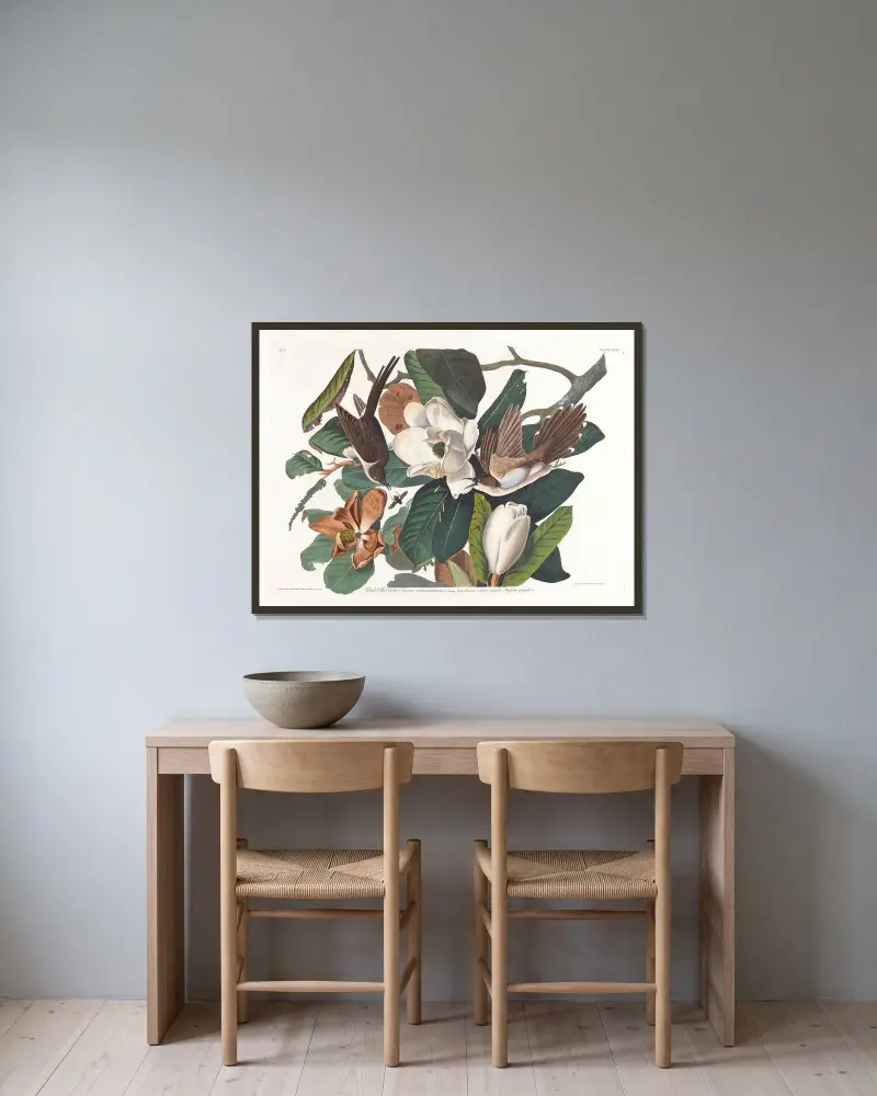 Schwarzschnabel-Regenkuckuck von John James Audubon gerahmt an einer Wand