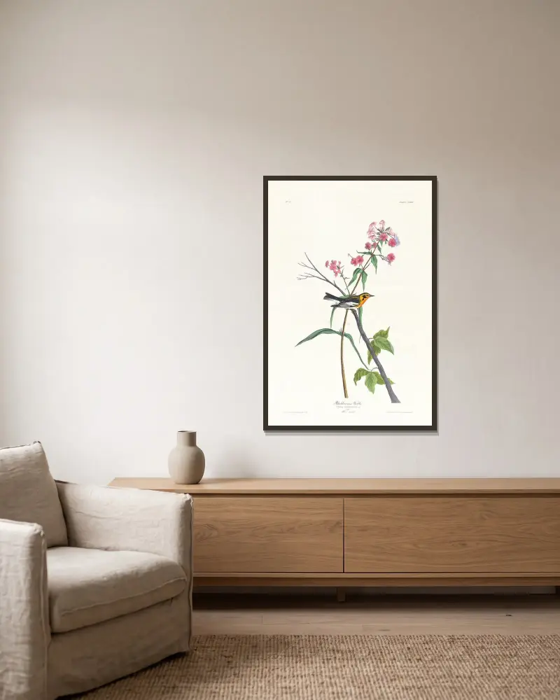 Blackburnian-Waldsänger von John James Audubon gerahmt an einer Wand