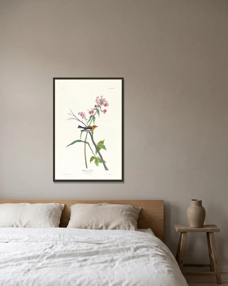 Blackburnian-Waldsänger von John James Audubon gerahmt an einer Wand