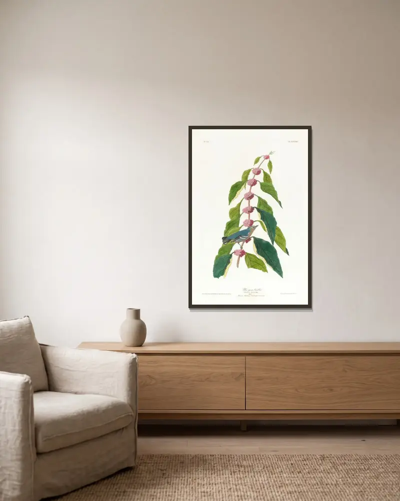 Blau-grüner Waldsänger von John James Audubon gerahmt an einer Wand