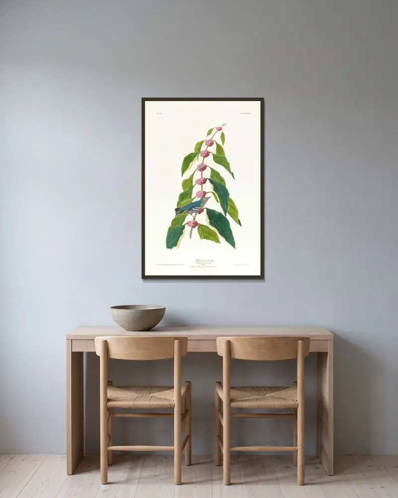 Blau-grüner Waldsänger von John James Audubon gerahmt an einer Wand
