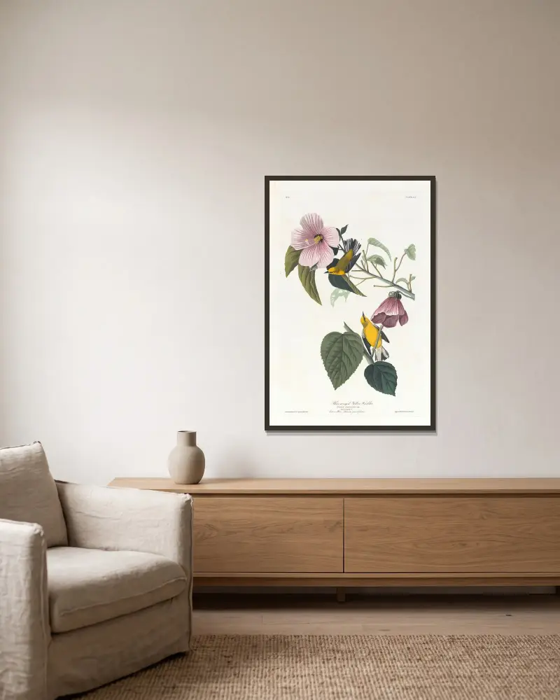 Blauflügeliger Waldsänger, 1827 – Nr. 1 von John James Audubon gerahmt an einer Wand