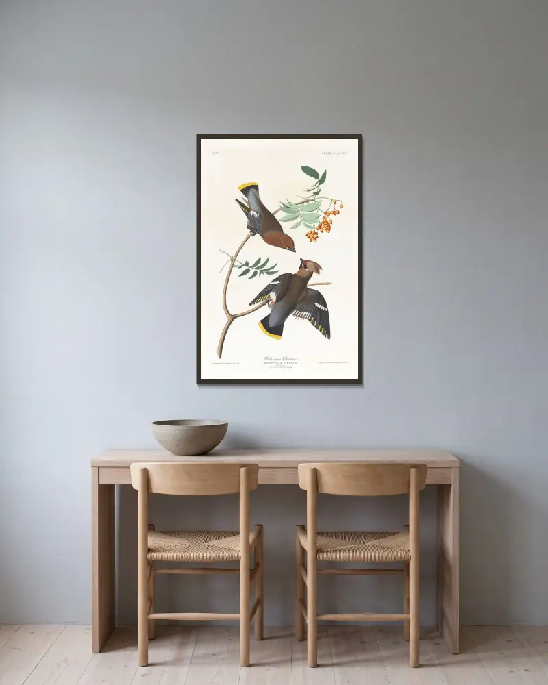 Bohemian Chatterer von John James Audubon gerahmt an einer Wand
