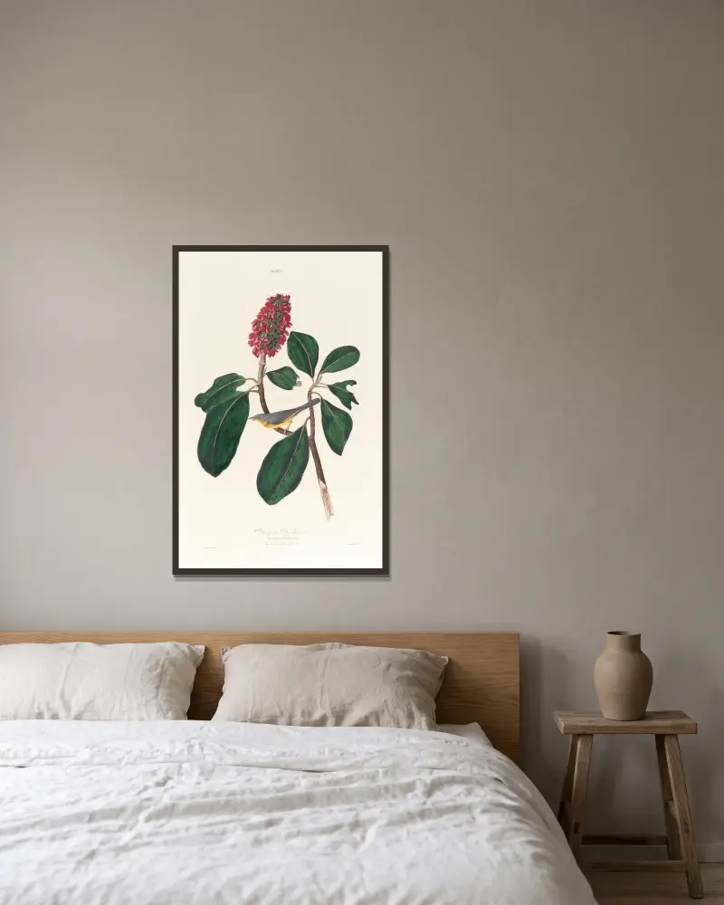 Muchołówka Bonapartego, John James Audubon w ramie na ścianie