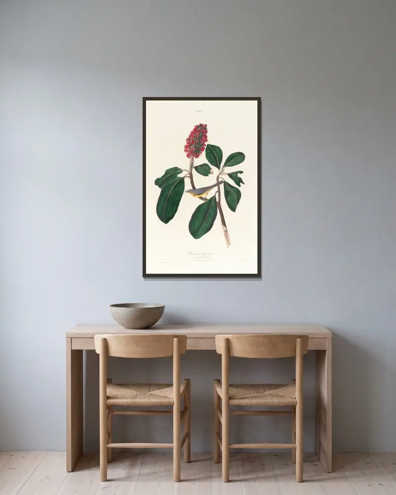 Muchołówka Bonapartego, John James Audubon w ramie na ścianie