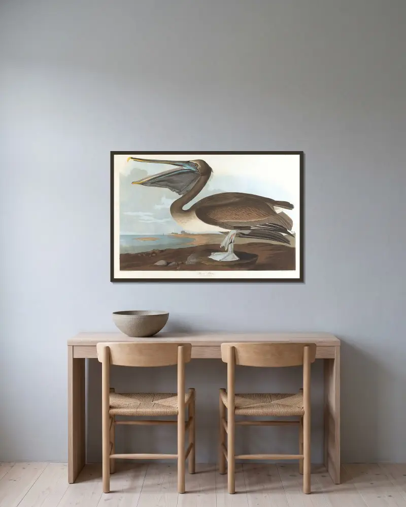 Brauner Pelikan von John James Audubon gerahmt an einer Wand