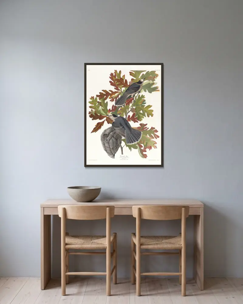 Kanadensisk skrika, John James Audubon v rámu na stěně