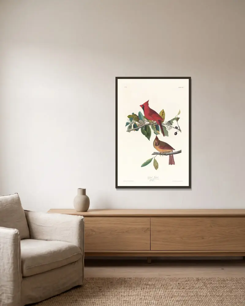 Kardinalfink von John James Audubon gerahmt an einer Wand
