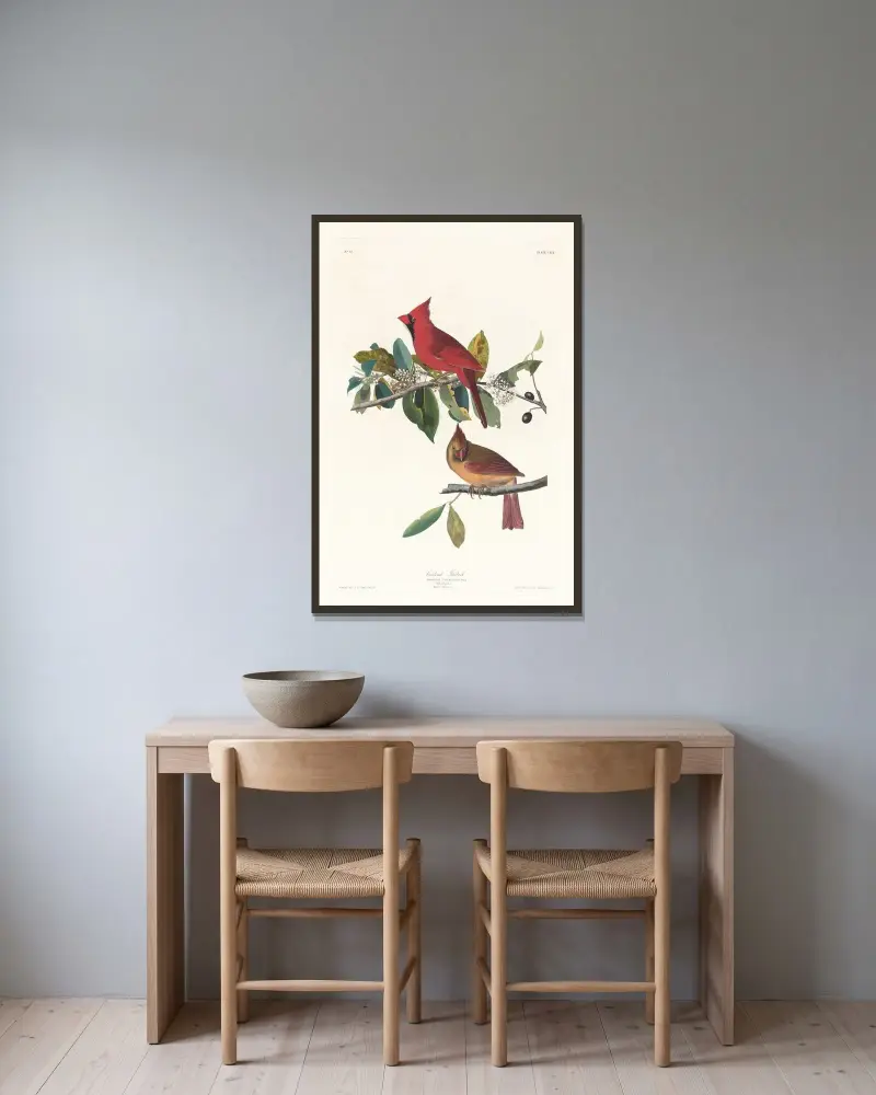 Kardinalfink von John James Audubon gerahmt an einer Wand