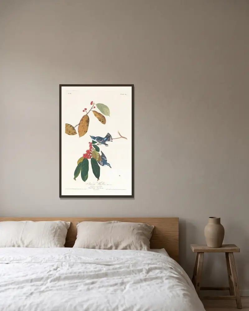 Cerulean warbler, John James Audubon v rámu na stěně