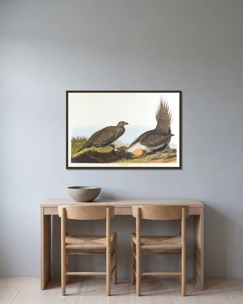 Cock of the plains av John James Audubon inramad på en vägg