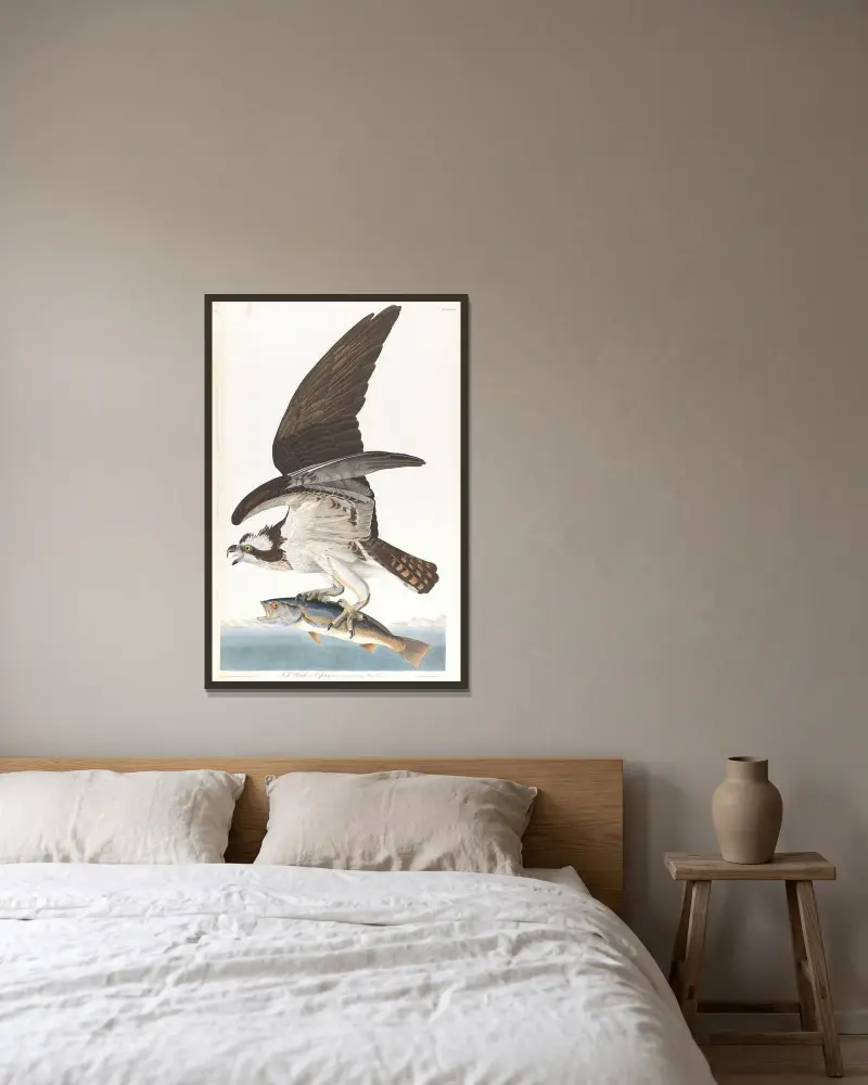Rybołów, 1827 – nr 2, John James Audubon w ramie na ścianie