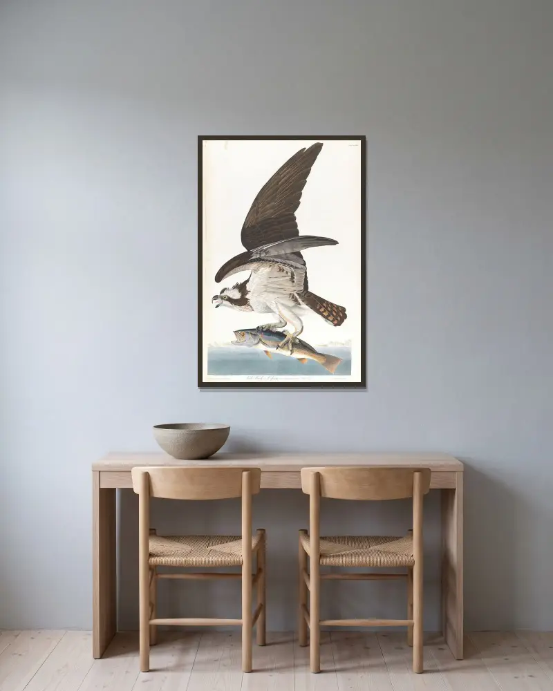 Rybołów, 1827 – nr 2, John James Audubon w ramie na ścianie