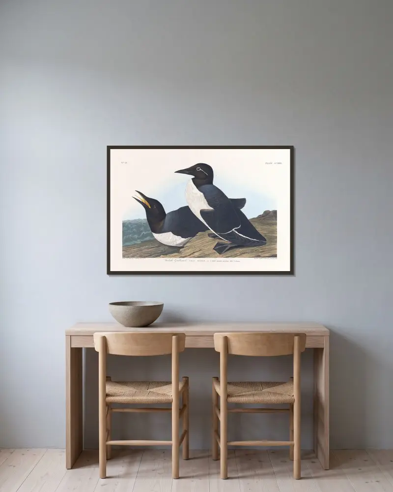 Głuptak, 1827 – nr 2, John James Audubon w ramie na ścianie