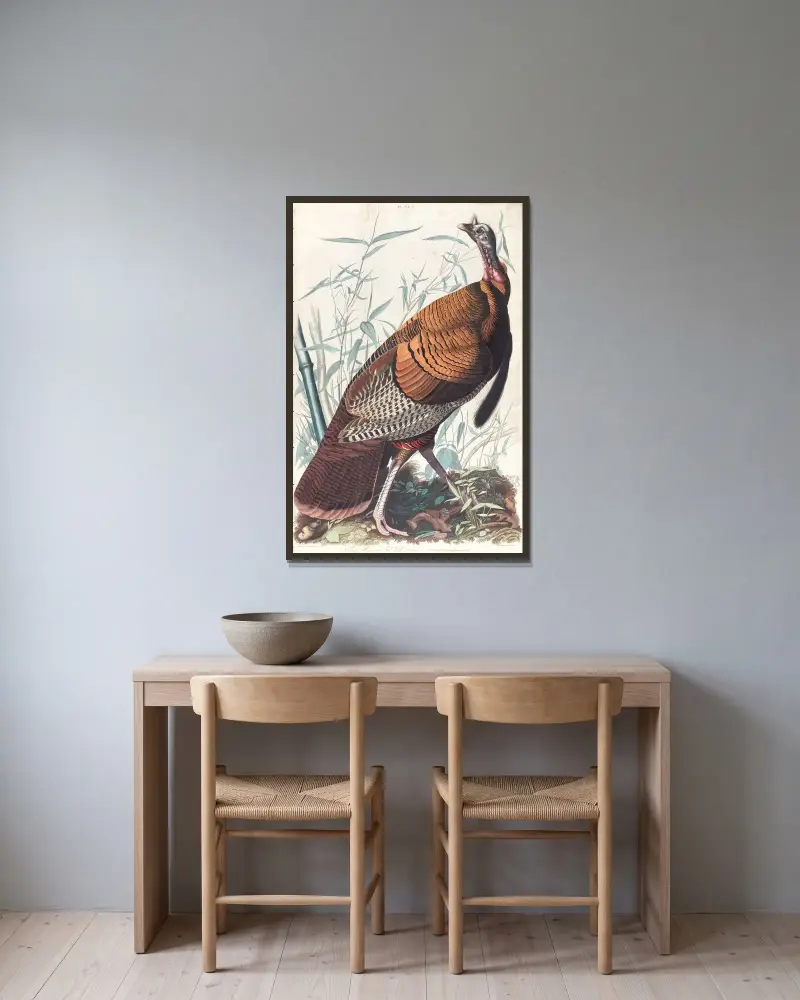 Great American cock av John James Audubon inramad på en vägg