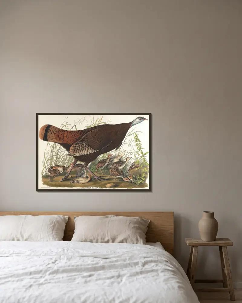 Great American hen & young av John James Audubon inramad på en vägg