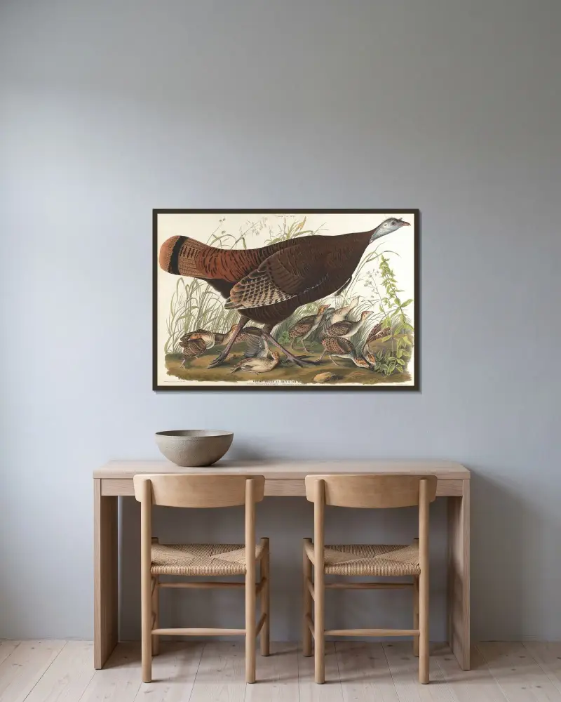 Great American hen & young av John James Audubon inramad på en vägg