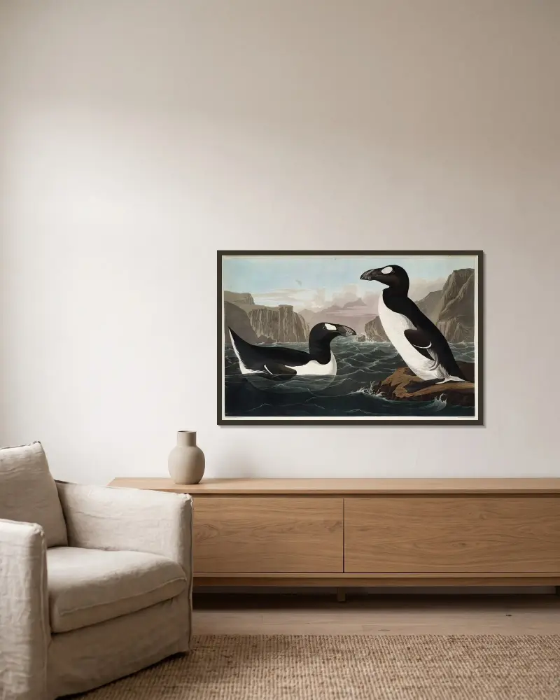 Riesenalk, 1827 – Nr. 2 von John James Audubon gerahmt an einer Wand