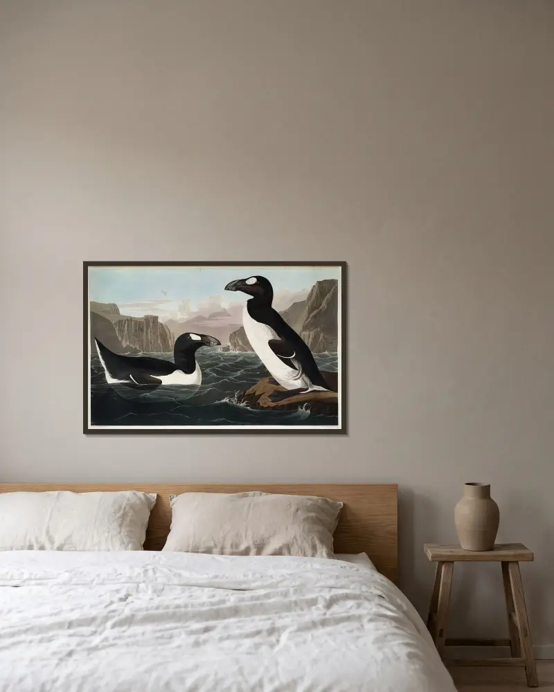 Riesenalk, 1827 – Nr. 2 von John James Audubon gerahmt an einer Wand