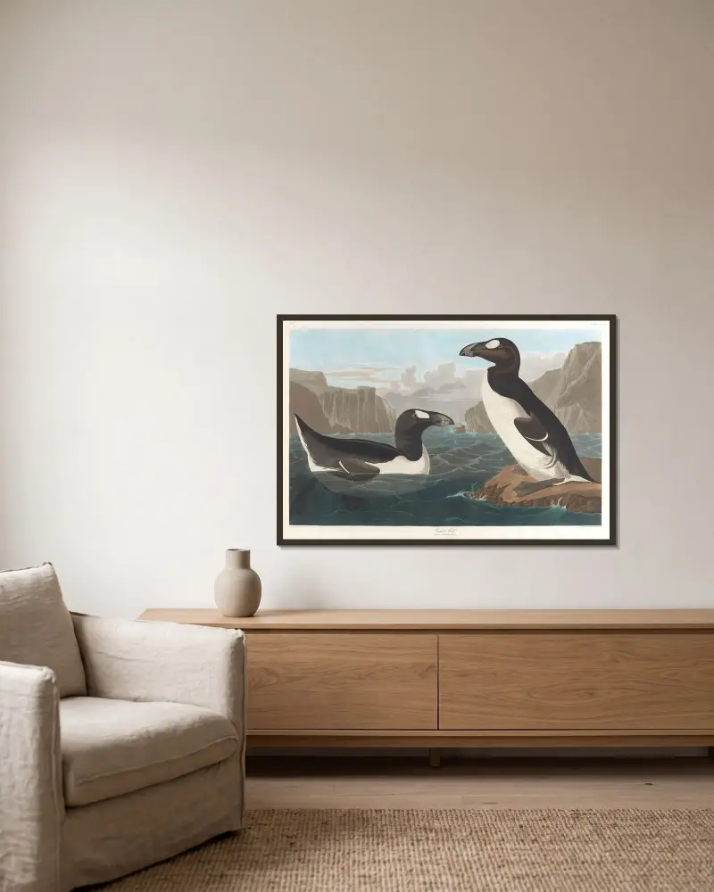 Riesenalk, 1827 – Nr. 1 von John James Audubon gerahmt an einer Wand