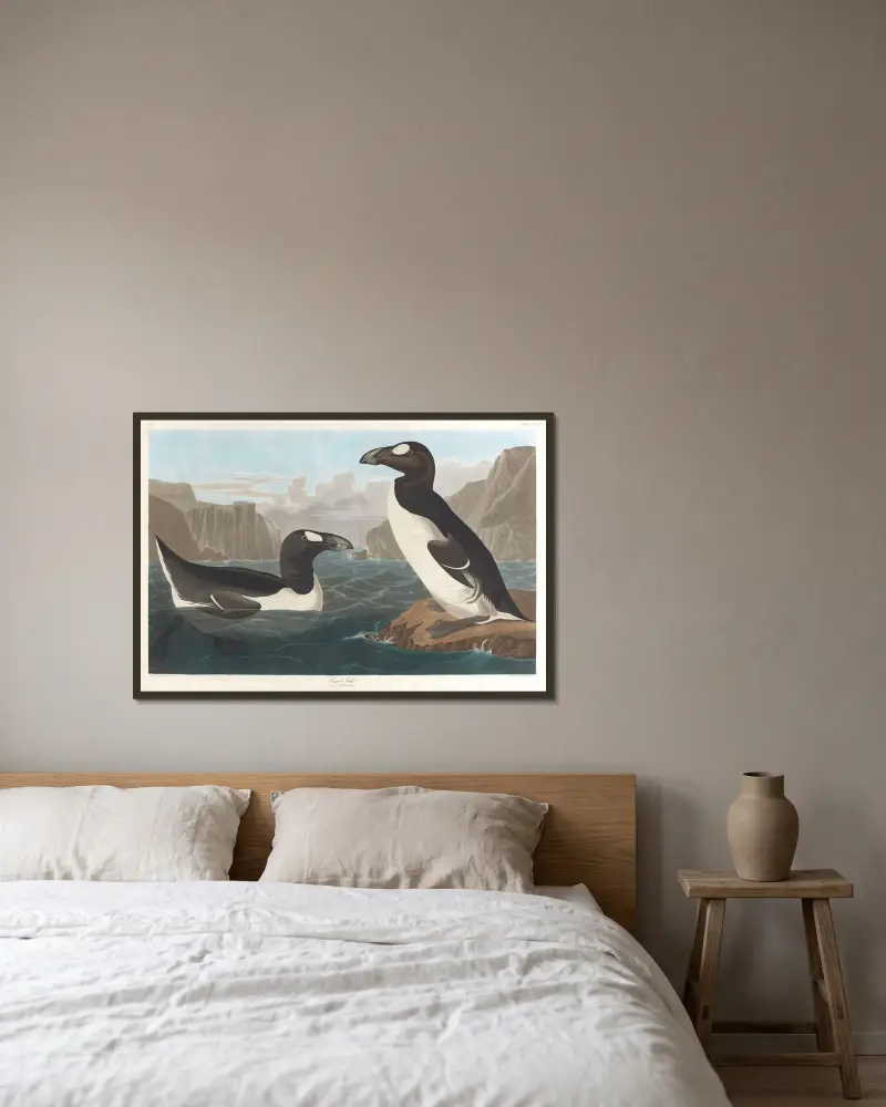 Riesenalk, 1827 – Nr. 1 von John James Audubon gerahmt an einer Wand