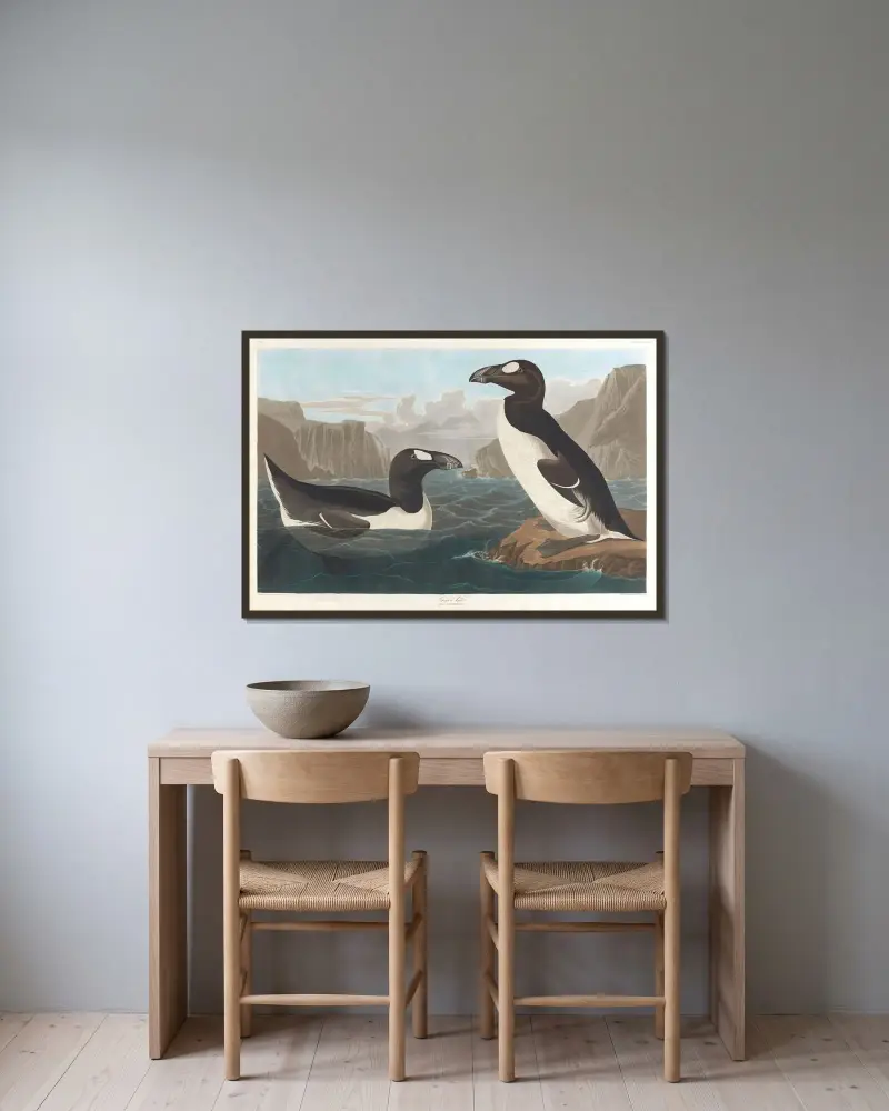 Riesenalk, 1827 – Nr. 1 von John James Audubon gerahmt an einer Wand